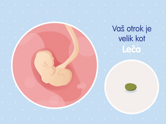 4-teden 4-teden
